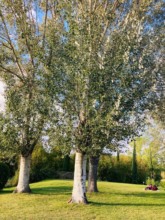 Podere La Chiusella B&B Rapolano Terme Exteriör bild