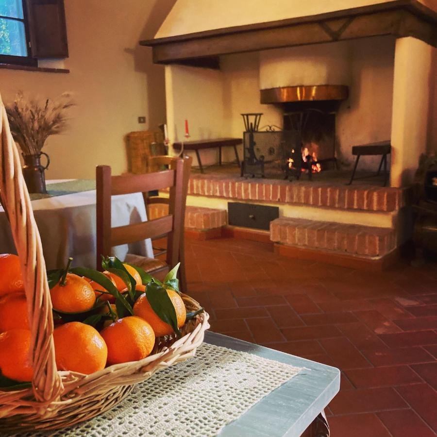 Podere La Chiusella B&B Rapolano Terme Exteriör bild