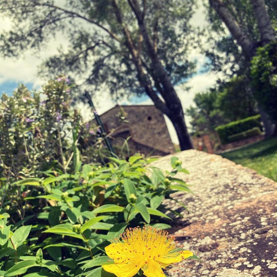 Podere La Chiusella B&B Rapolano Terme Exteriör bild