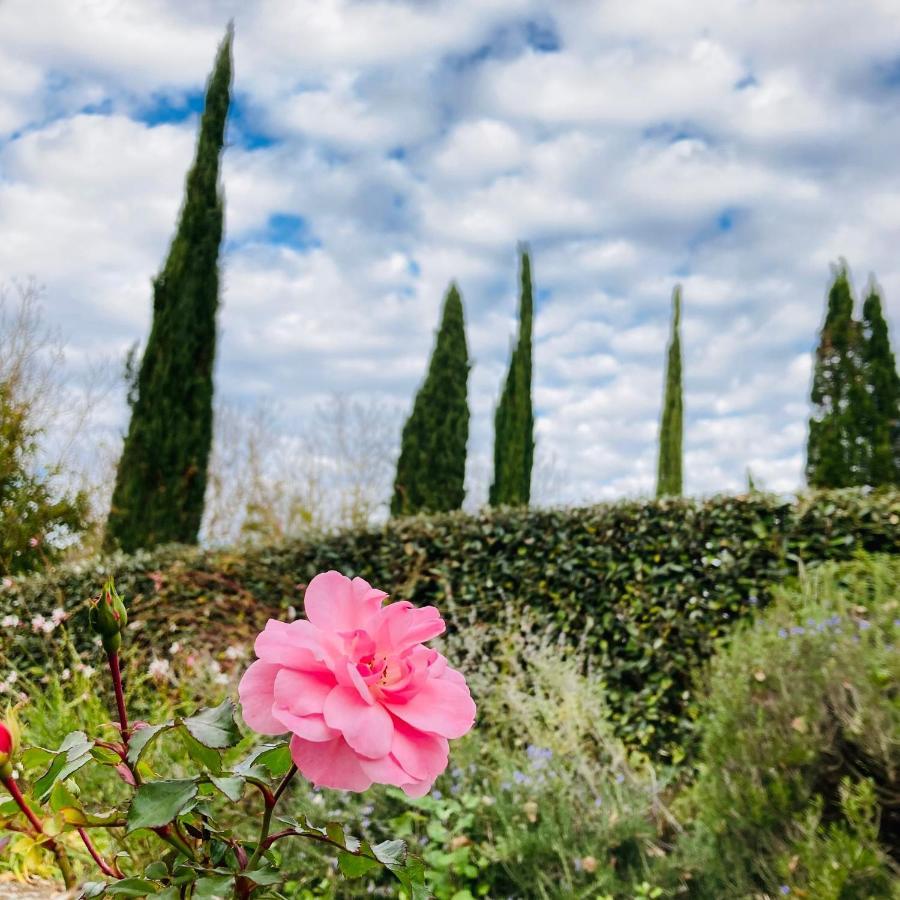 Podere La Chiusella B&B Rapolano Terme Exteriör bild