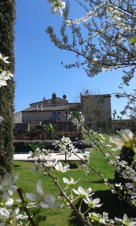 Podere La Chiusella B&B Rapolano Terme Exteriör bild